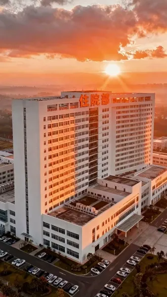 รักสายฟ้าแลบของสองพี่น้อง