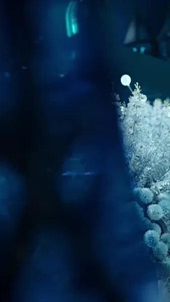 รักสายฟ้าแลบของสองพี่น้อง