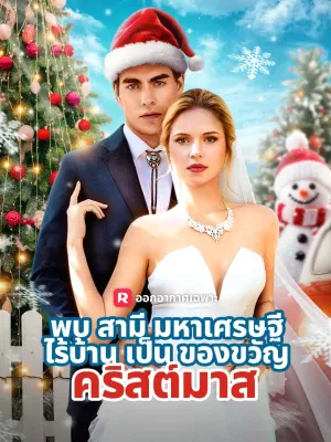 พบสามีมหาเศรษฐีไร้บ้านเป็นของขวัญคริสต์มาส
