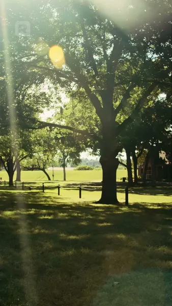 พบสามีมหาเศรษฐีไร้บ้านเป็นของขวัญคริสต์มาส