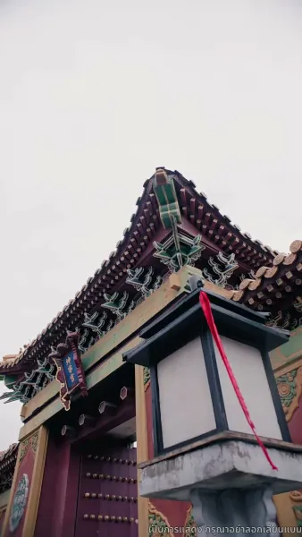 แผนร้ายชิงบัลลังก์หงส์