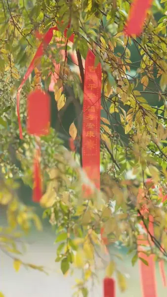 เมื่อรักแรกสายไป แต่รักใหม่มาถึง