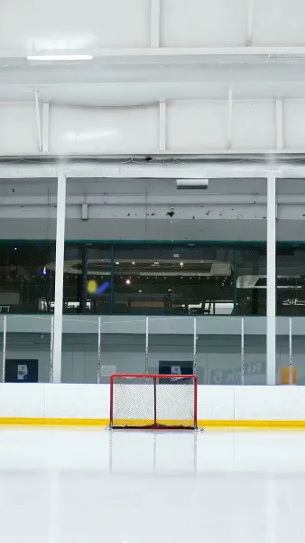 ลิขิตรักกับดักอัลฟ่า