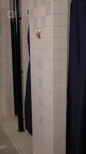 โชคชะตาของอัลฟ่า