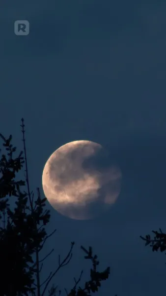 โชคชะตาของอัลฟ่า