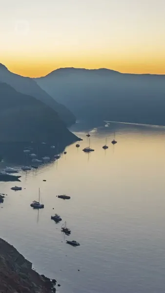 โชคชะตาของอัลฟ่า