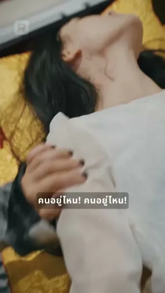 พี่ชายข้านี่แหละคือยอดฝีมือ