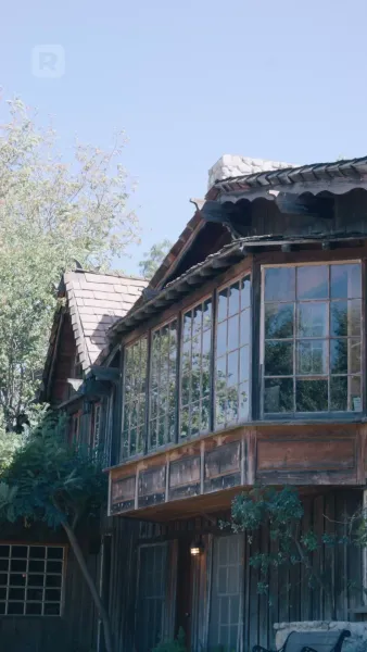 การกลับมาของราชินีอัลฟ่า