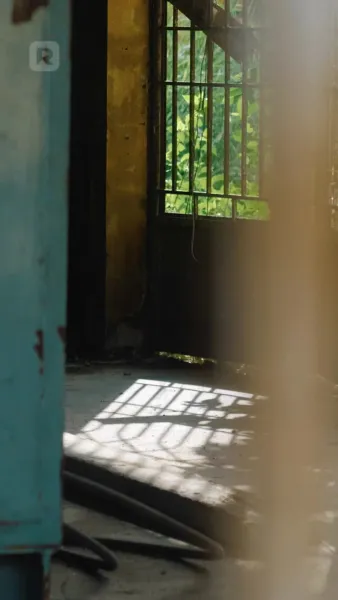 การกลับมาของราชินีอัลฟ่า