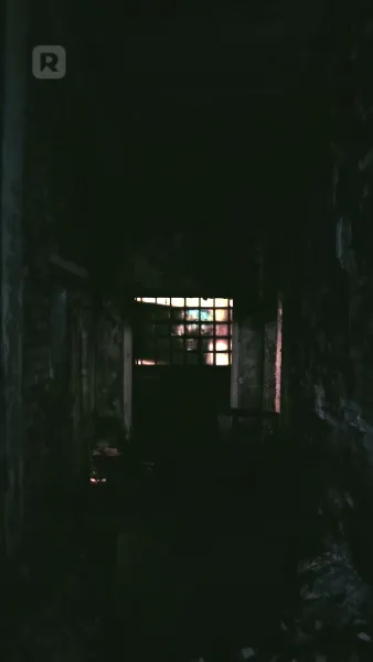 การกลับมาของราชินีอัลฟ่า