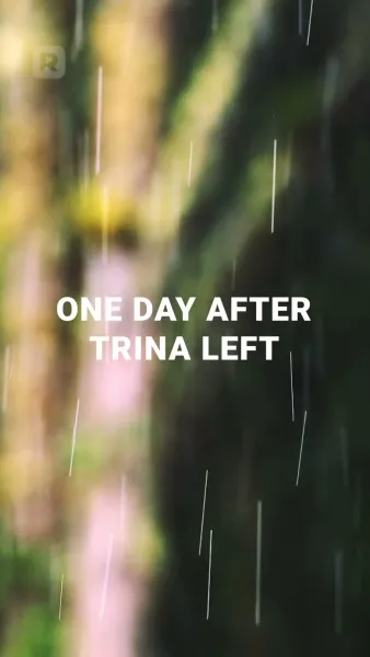 ชีวิตเฮงซวยจ๋า ฉันขอลาก่อน