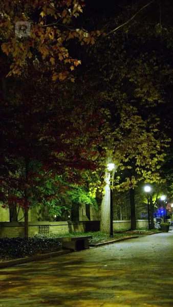 ชีวิตเฮงซวยจ๋า ฉันขอลาก่อน