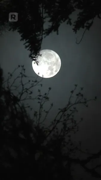 ชีวิตเฮงซวยจ๋า ฉันขอลาก่อน