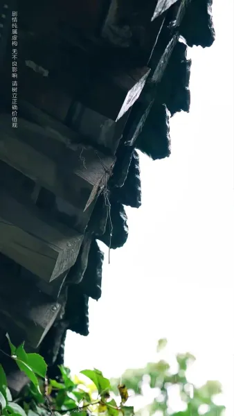 หมอเทวดากลับชาติมาเกิด