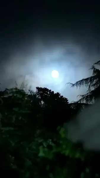 เจ็ดปีแห่งสายลมและความเสียใจ