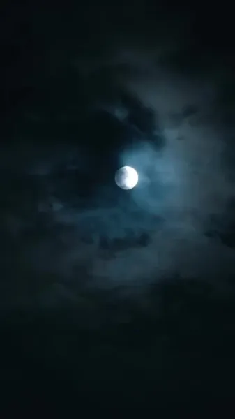 โต้คลื่น