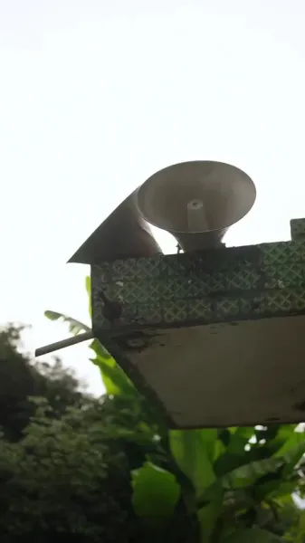 โต้คลื่น