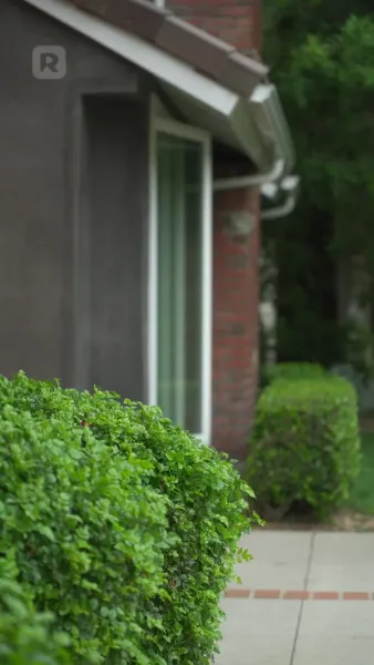 การไถ่ถอนภรรยาเกิดใหม่