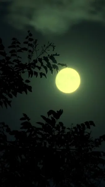 พร แห่งหญิงศักดิ์สิทธิ์