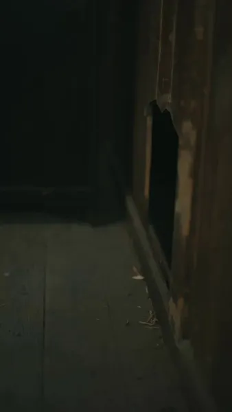 พร แห่งหญิงศักดิ์สิทธิ์