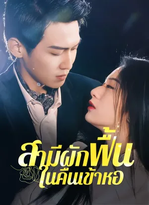 สามีผักฟื้นในคืนเข้าหอ