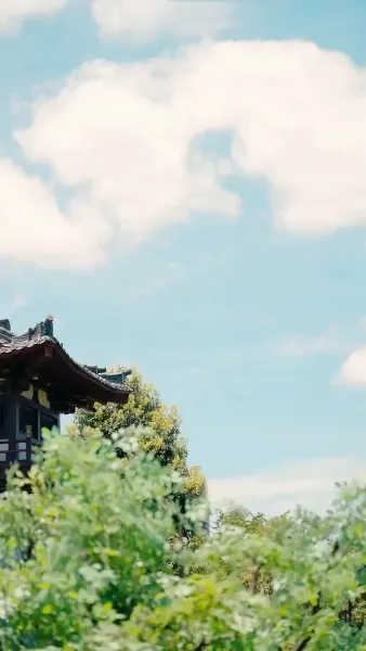 รักสุดฤทัยใยมิจดจำ