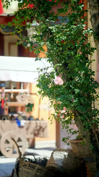 ลับหน้าของเจ้าหญิงใหญ่