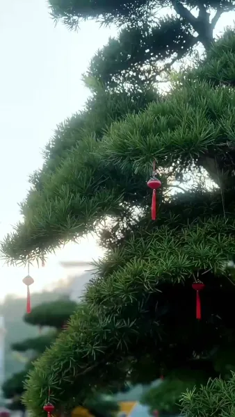 ผู้มาเยือนจากอดีต(พากย์ไทย)