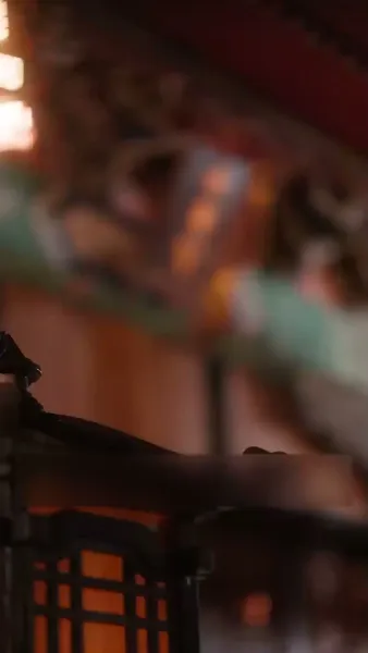 ลิขิตรักหมอหญิง