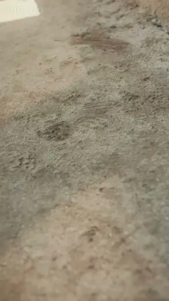 แฟนของฉันอายุ 600 ปี