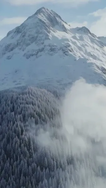 จันทร์เต็มดวงกับหมาป่า