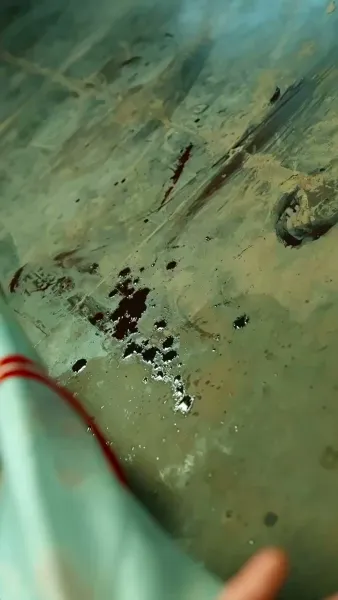 พรจากราชสีห์