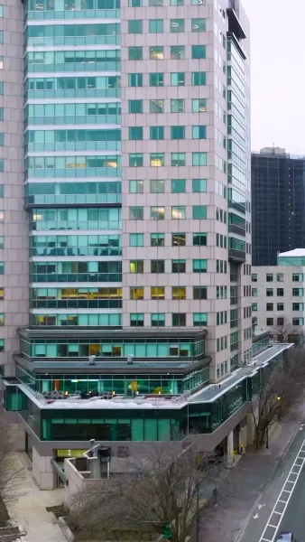 รักหน้าร้อนกับพี่ชายเพื่อนที่แฮมป์ตัน