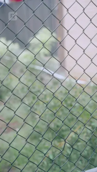 รักหน้าร้อนกับพี่ชายเพื่อนที่แฮมป์ตัน