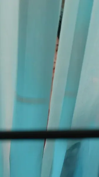 ใครเด็ดดอกรักท่านประธานฟู่