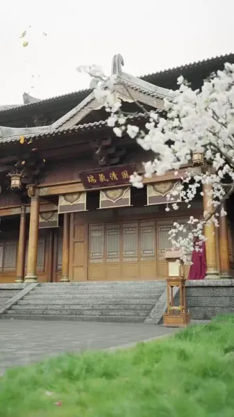 การก้าวขึ้นของเจ้าหญิงวิปลาส