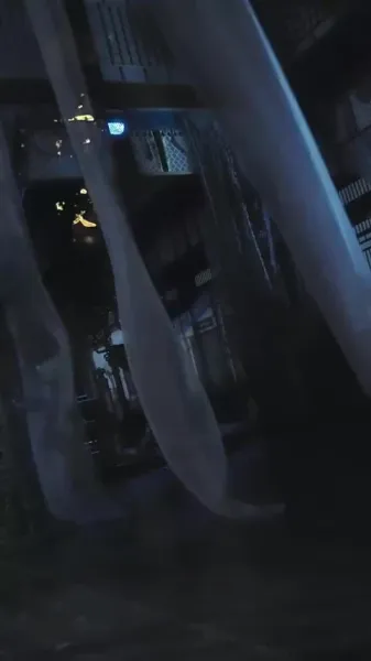 การก้าวขึ้นของเจ้าหญิงวิปลาส