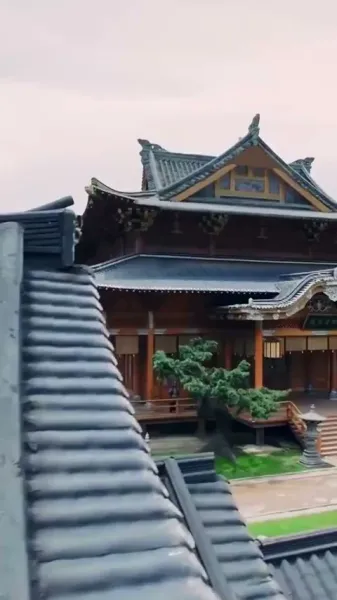 การก้าวขึ้นของเจ้าหญิงวิปลาส