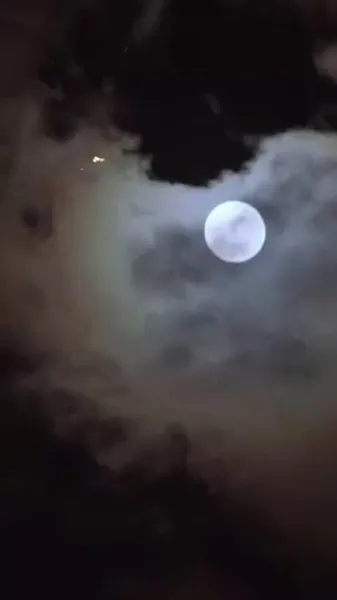 การก้าวขึ้นของเจ้าหญิงวิปลาส