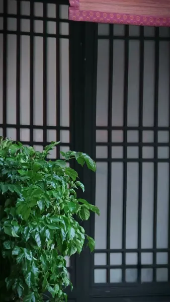 ผูกฤทัยท่านอ๋อง