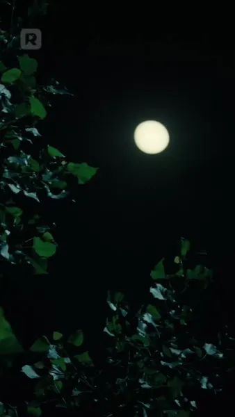 (พากย์) นางร้ายพาพลิกผันโชคชะตา