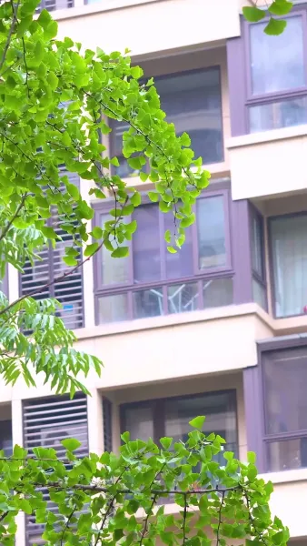 เมียลืมรัก สามีไล่ตามง้อ