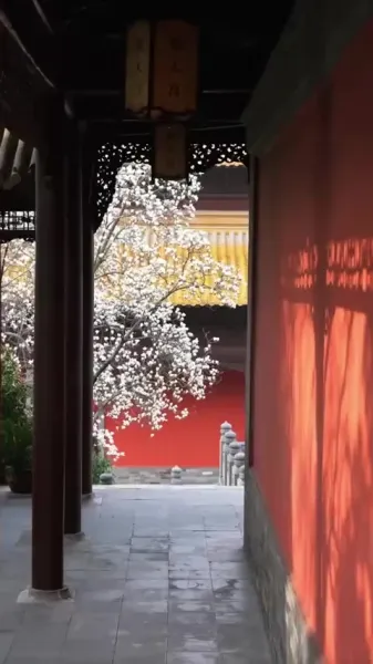 สองจักรพรรดินีเกิดใหม่