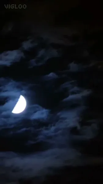 แพทย์หญิงอัจฉริยะ ผู้ถูกตัดขาด