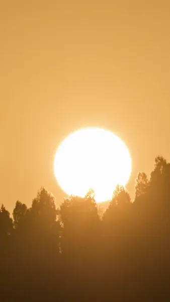 เส้นทางลี้ภัยนี้ข้าขอลิขิตเอง