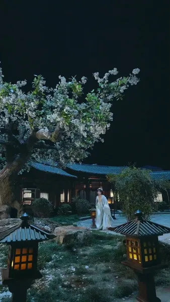 จากห้องออฟฟิศสู่หัวใจฮ้องเต้  