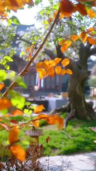 จากห้องออฟฟิศสู่หัวใจฮ้องเต้  