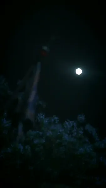 เพลิงแค้นลิขิตหงส์ 