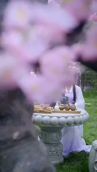 เพลิงแค้นลิขิตหงส์ 