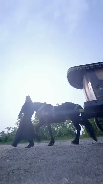 เพลิงแค้นลิขิตหงส์ 